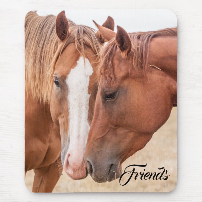 Mousepad Cavalos fungando em uma pastagem (Frente)