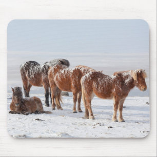 Mousepad Cavalos Islandeses Cobrados por Neve
