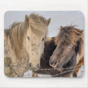 Mousepad Cavalos Majestosos Islandeses