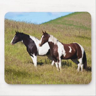Mousepad Cavalos na encosta da colina