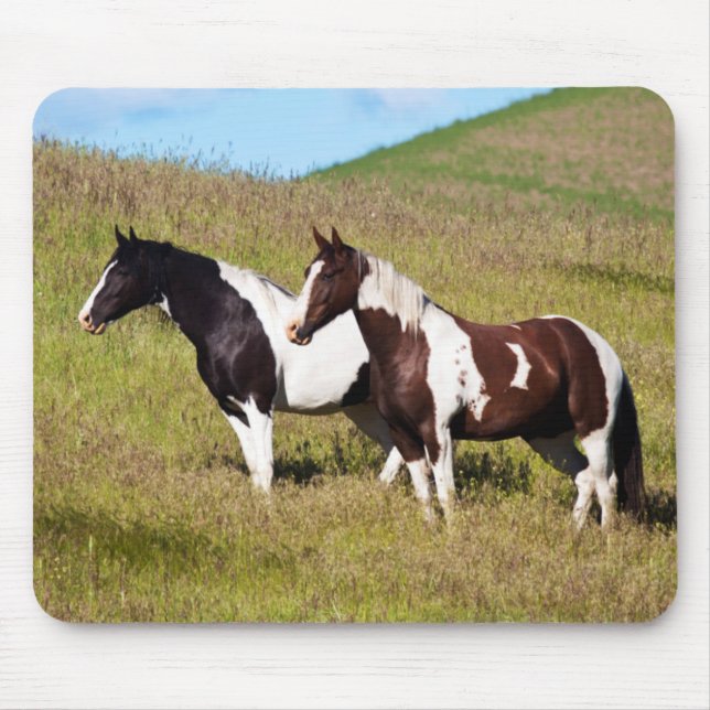 Mousepad Cavalos na encosta da colina (Frente)