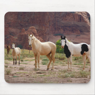 Mousepad Cavalos Navajo correm livres no chão do Canyon