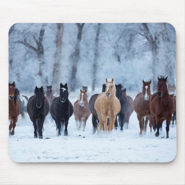 Mousepad Cavalos no Frio (Frente)