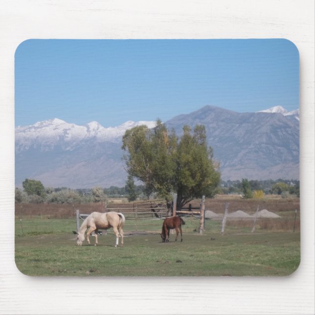 Mousepad Cavalos no pasto (Frente)