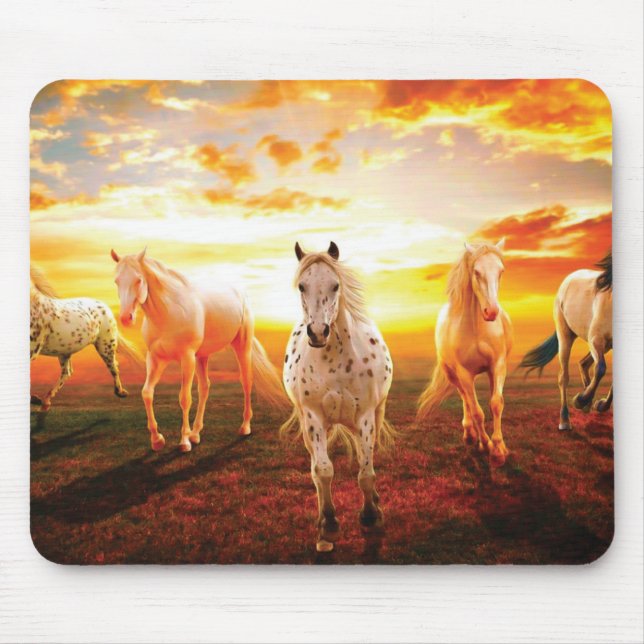 Mousepad Cavalos no travesseiro decorativo solar (Frente)