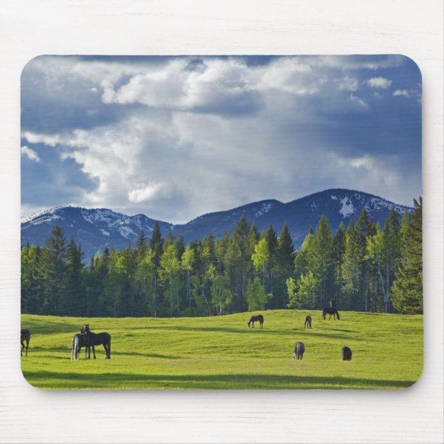 Mousepad Cavalos pastam em pasto perto de Whitefish, (Frente)