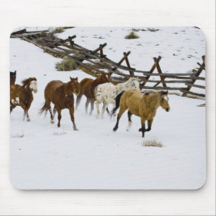 Mousepad Cavalos que funcionam na neve