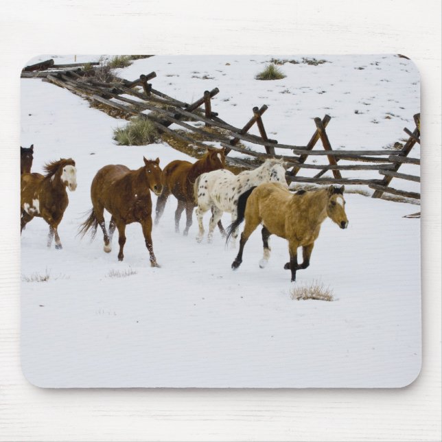Mousepad Cavalos que funcionam na neve (Frente)