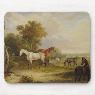 Mousepad Cavalos que pastam: Um garanhão cinzento que past
