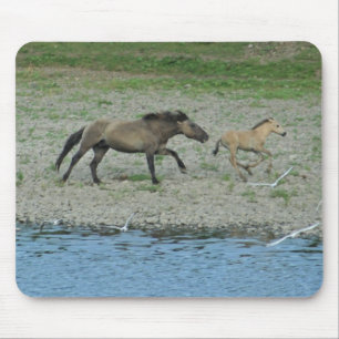Mousepad cavalos running