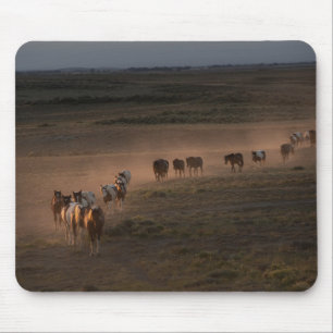 Mousepad Cavalos Selvagens Caminhando Para O Deserto