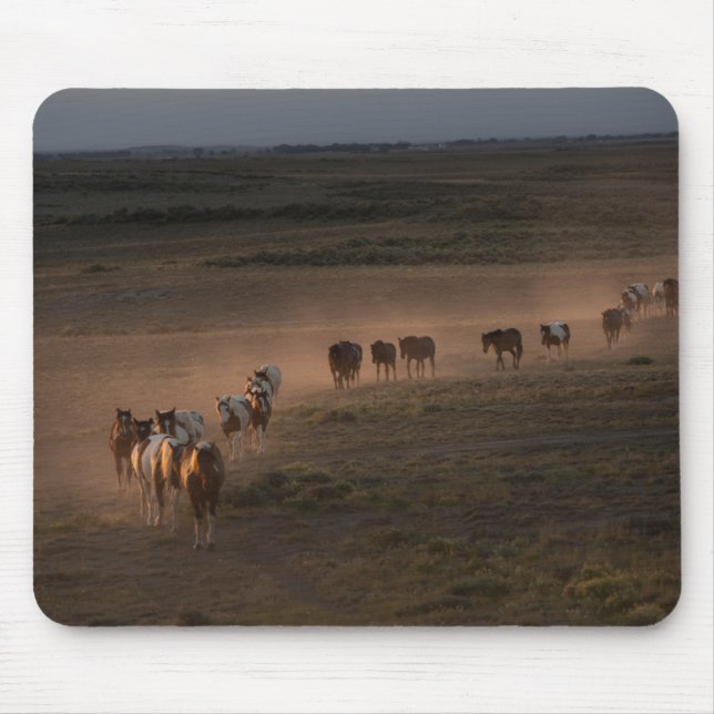 Mousepad Cavalos Selvagens Caminhando Para O Deserto (Frente)