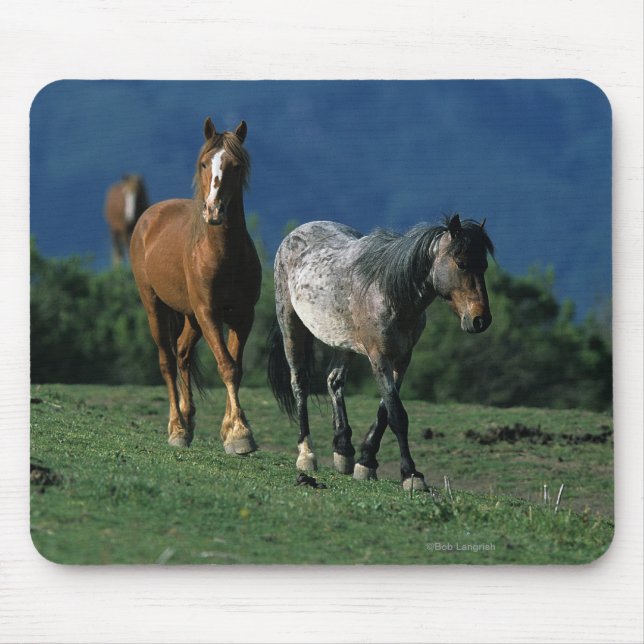 Mousepad Cavalos selvagens do mustang (Frente)