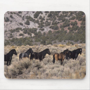 Mousepad Cavalos selvagens do mustang no deserto 2
