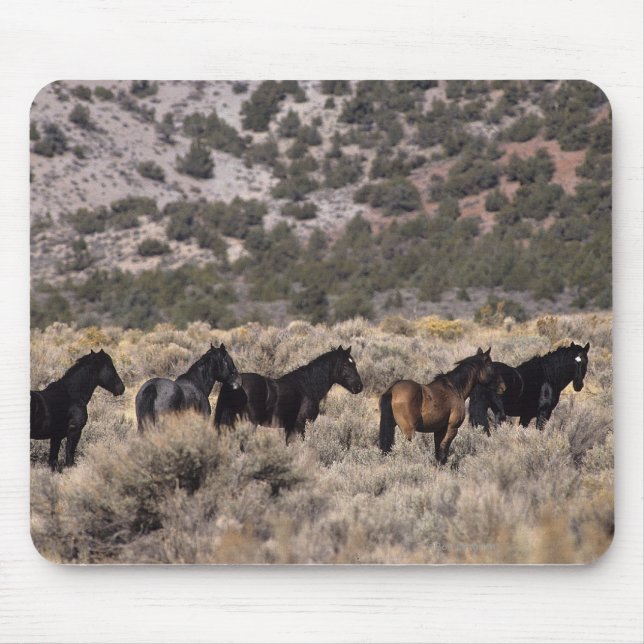 Mousepad Cavalos selvagens do mustang no deserto 2 (Frente)