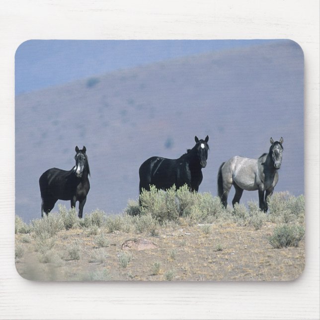 Mousepad Cavalos selvagens do mustang no deserto 3 (Frente)