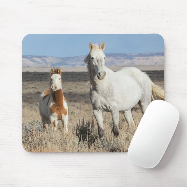 Mousepad Cavalos Selvagens em Casa no Sandwash Basin (Com mouse)