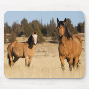 Mousepad Cavalos Selvagens, Montanhas Steens