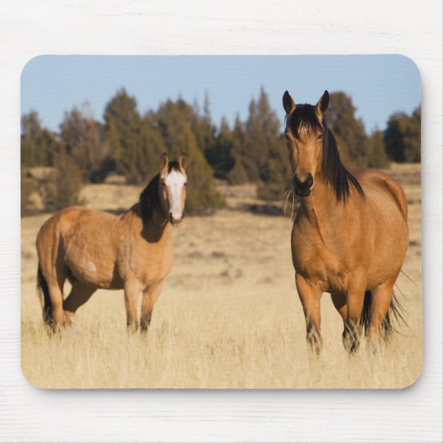 Mousepad Cavalos Selvagens, Montanhas Steens (Frente)