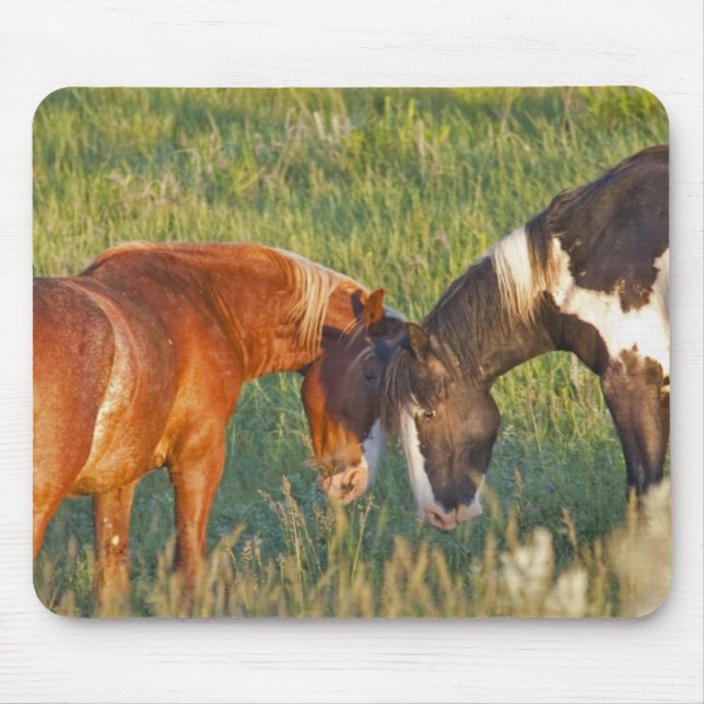 Mousepad Cavalos selvagens no Parque Nacional de Theodore R (Frente)