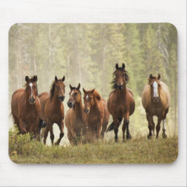 Mousepad Cavalos subindo uma pequena colina durante o arred