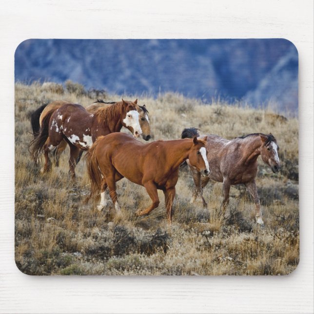 Mousepad Cavalos Vagando pelas Colinas (Frente)