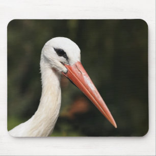 Mousepad Cegonha - símbolo de Estrasburgo e Alsácia, França