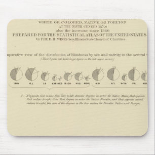 Mousepad Cegueira, Literatura Estatística dos EUA 1870