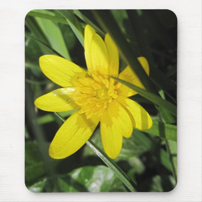Mousepad celandine (Frente)