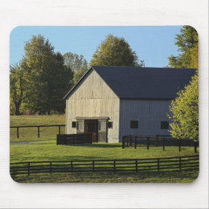 Mousepad Celeiro em uma fazenda de cavalos puro-sangue ao n