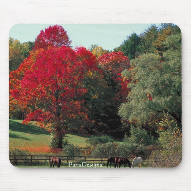 Mousepad Cena bonita da queda (Frente)