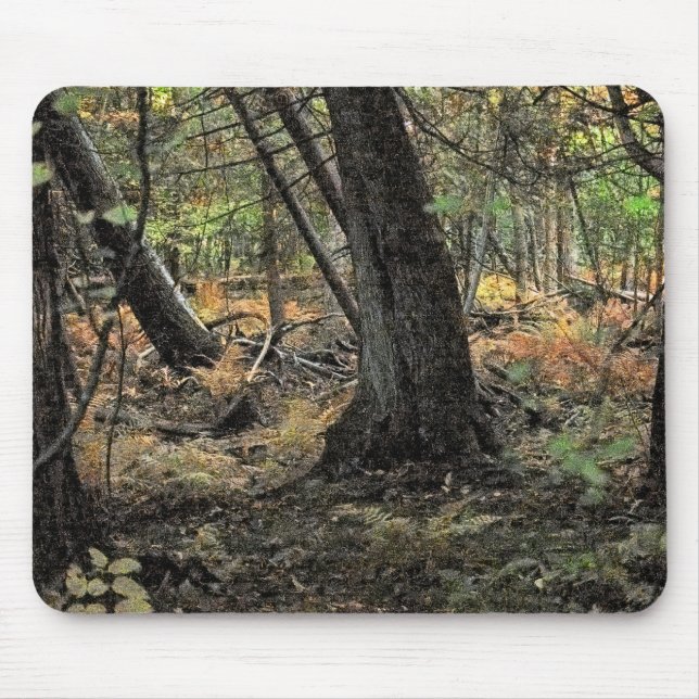 Mousepad Cena da floresta do outono (Frente)