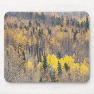 Mousepad Cena da Natureza com Folhas de Outono e Tons Quent
