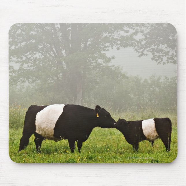 Mousepad Cena de névoa de vaca galloway cintilante a mimand (Frente)