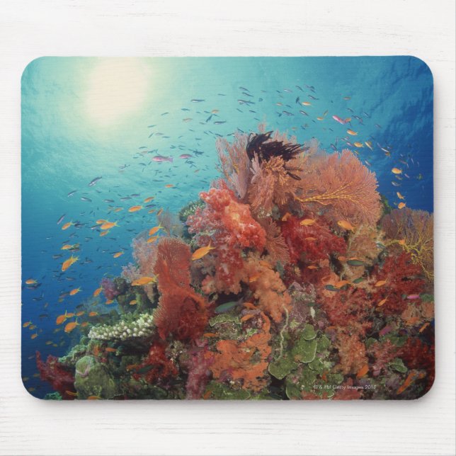 Mousepad Cena de recife de corais duros, corais moles 2 (Frente)