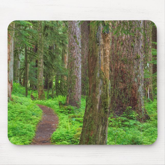 Mousepad Cenário de floresta antiga (Frente)