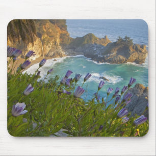 Mousepad Cenário de McWay Falls deságua na praia e