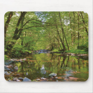 Mousepad Cenário do Rio Wilson