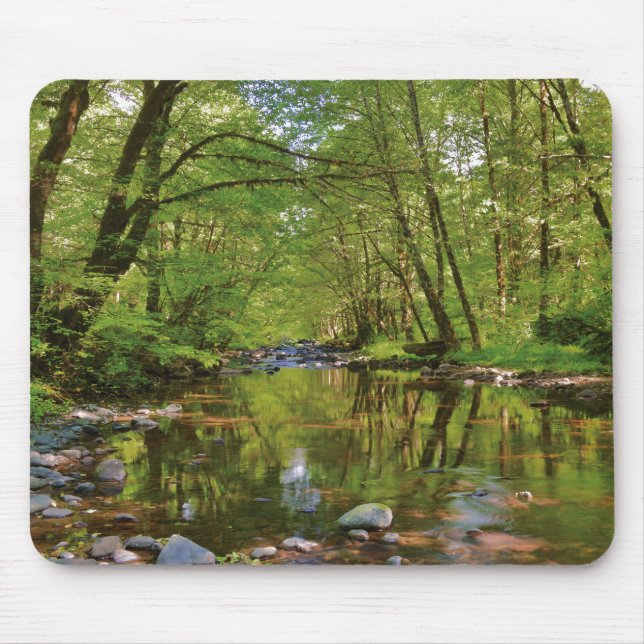 Mousepad Cenário do Rio Wilson (Frente)