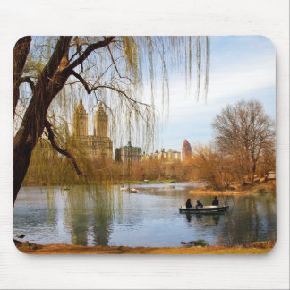 Mousepad Central Park, New York