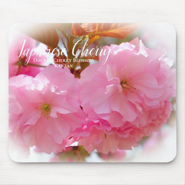 Mousepad Cerceira de Flor Dupla: Kanzan (Frente)