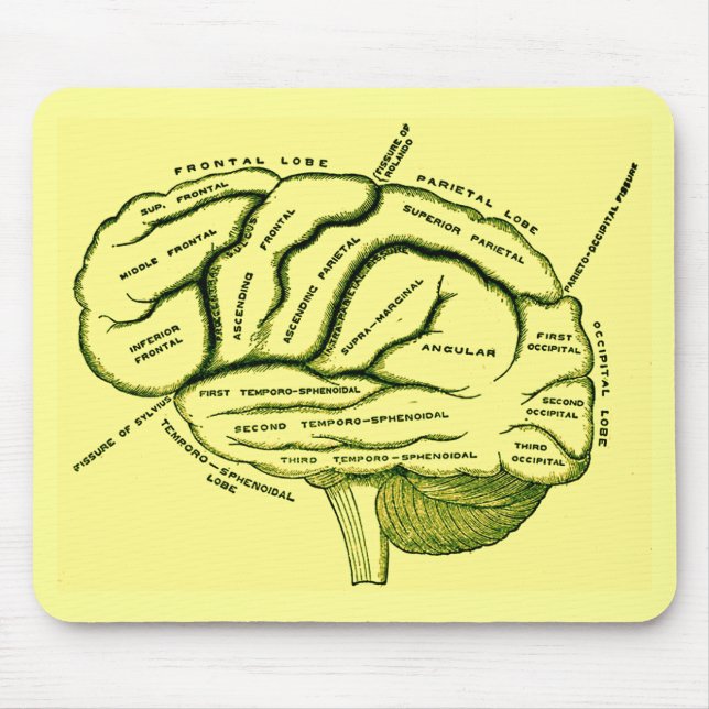 Mousepad Cérebro humano (Frente)