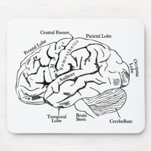 Mousepad Cérebro humano