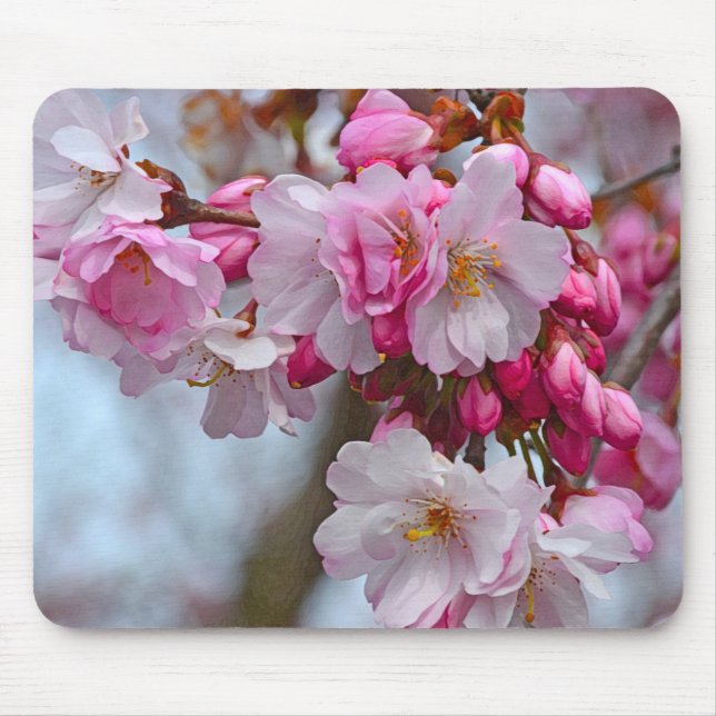 Mousepad Cereja rosa floresce (Frente)