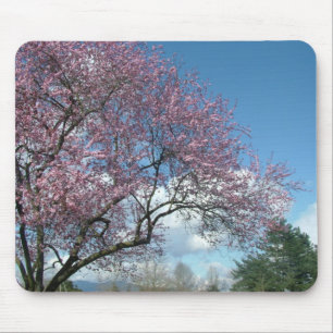 Mousepad Cerejeira rosa e céu azul, nuvens brancas