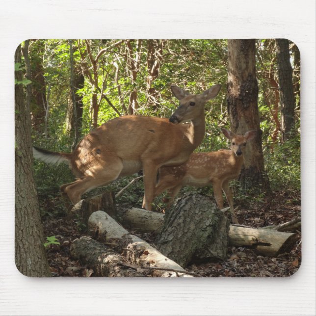 Mousepad Cerveja Mãe e Filho no Parque Nacional Shenandoah (Frente)