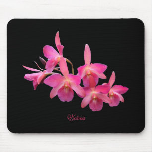 Mousepad Cerveja, Rosa Quente, Vermelho, Orquídeas - Placa 