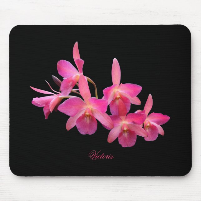 Mousepad Cerveja, Rosa Quente, Vermelho, Orquídeas - Placa  (Frente)