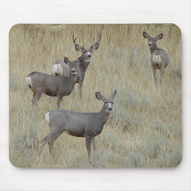 Mousepad Cervo-mula D18 (Frente)