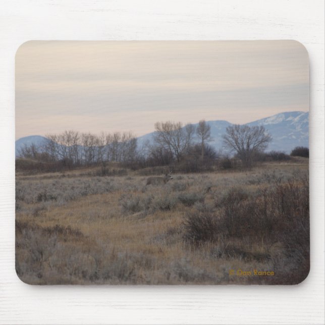 Mousepad Cervo Mulo D4 e Colinas de Grama Doce (Frente)